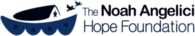 The Noah Angelici Hope Foundation