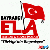 Ayyıldız Bayrak Vector