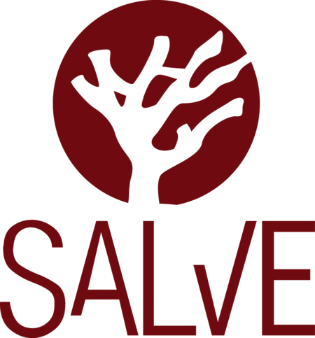 Salve