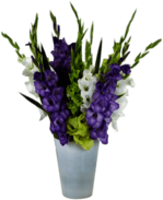 Gladiolus Composition In Vase
