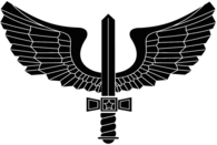 SABRE ALADO FORÇA AÉREA BRASILEIRA