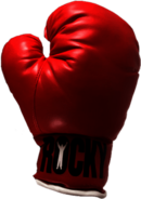 Boxing Glove
