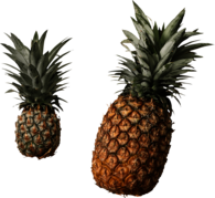 Pineapple Duo