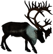 Reindeer (Caribou) Toy Figure