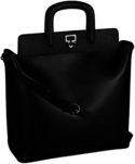 Black Women Bag