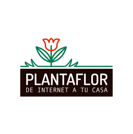Plantaflor Flores y Plantas