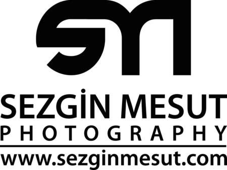 Sezgin Mesut