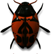 Ladybug Dark Green and Orange