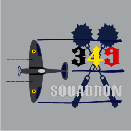 349 Squadron