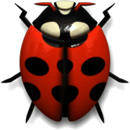 Ladybug Red and Black Head Up