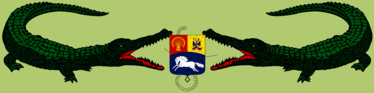 Caimanes Infantería De Marina Venezolana