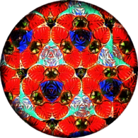 Kaleidoscope Red Leaves