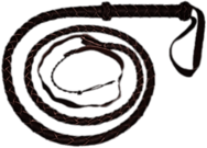 Brown Whip