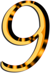 Golden Number 9
