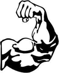 Bicep Clipart