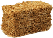 Barley Straw Bale