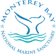 Monterey Bay
