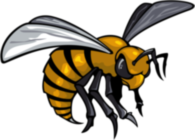 Alabama State Hornets 75970