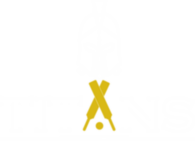 JHB Titans logo white