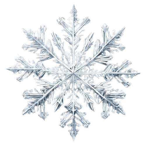 Intricate Snowflake