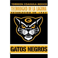 Leones Negros