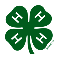 4-H