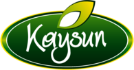 Kaysun