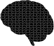 Jigsaw Puzzle Brain