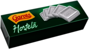 Garoto Hortela