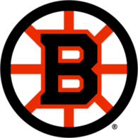 Boston Bruins 2023-
