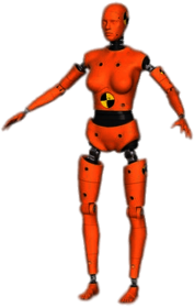 Female Crash Test Dummy