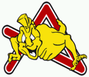 USD 1913 Seregno Calcio