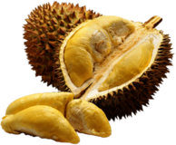 Inside Of Durian