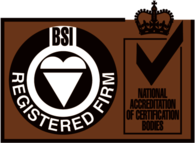 ISO BSI Registered Firm