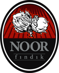 Noor Findik