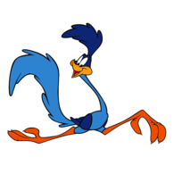 Roadrunner