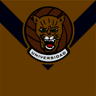 universidad nacional de ingenieria uni