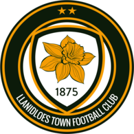 Llanidloes Town FC