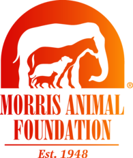 Morris Animal Foundation
