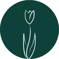 Honest Basics thumbnail