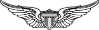 US Army Pilot