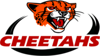 Cheetahs Rugby