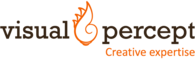 Visual Percept