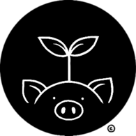 Alba Paris thumbnail