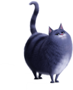 Chloe Tail In the Air