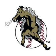 San Bernardino Stampede