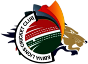 Ebina Lions Cricket Club 