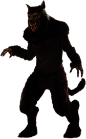 Werewolf Costume