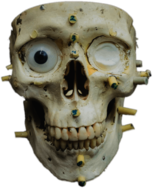 Zoomed In Skull