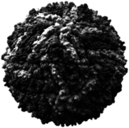 Virus Black and White